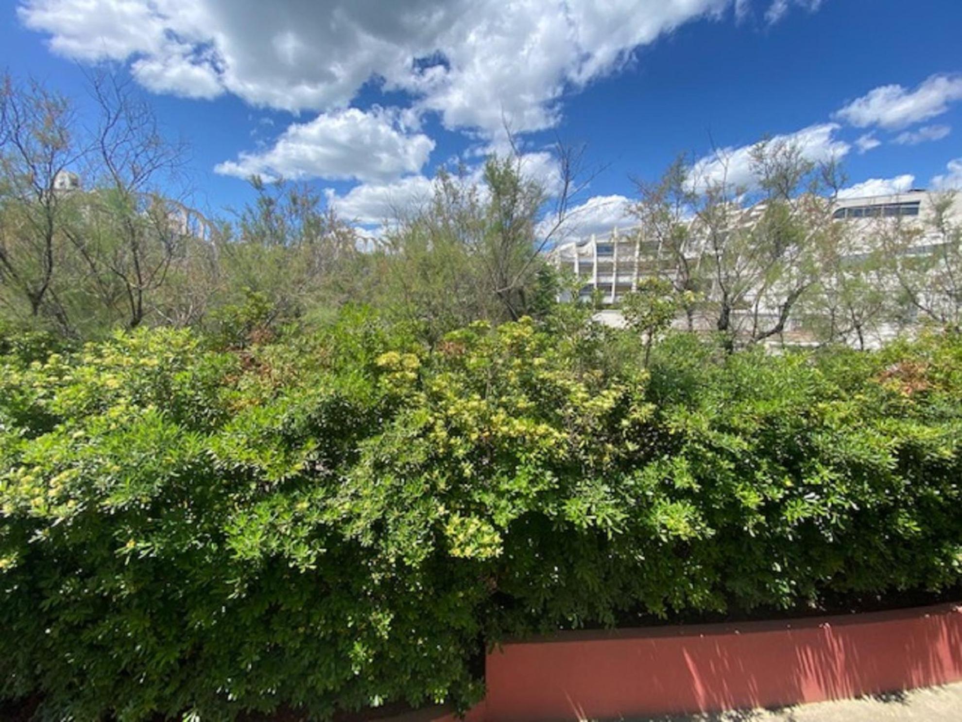 Vittoria Immobilier 4-Reglement Sur Place -Cheques Vacances Acceptes La Grande Motte Bagian luar foto